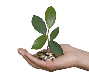 Palm with a plant growng from pile of coins Palm with a plant growng from pile of coins